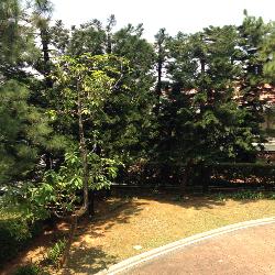 Parc Stevens (D10), Condominium #47328732